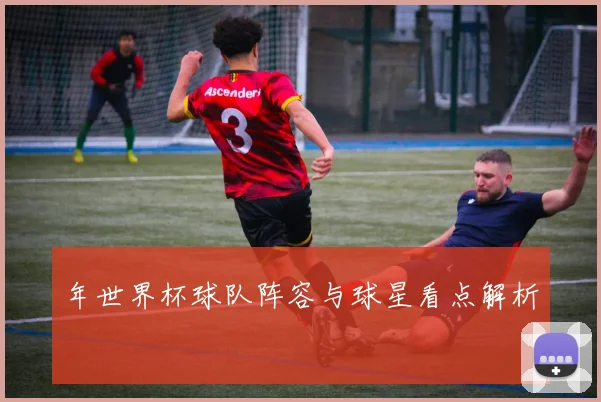 年世界杯球队阵容与球星看点解析